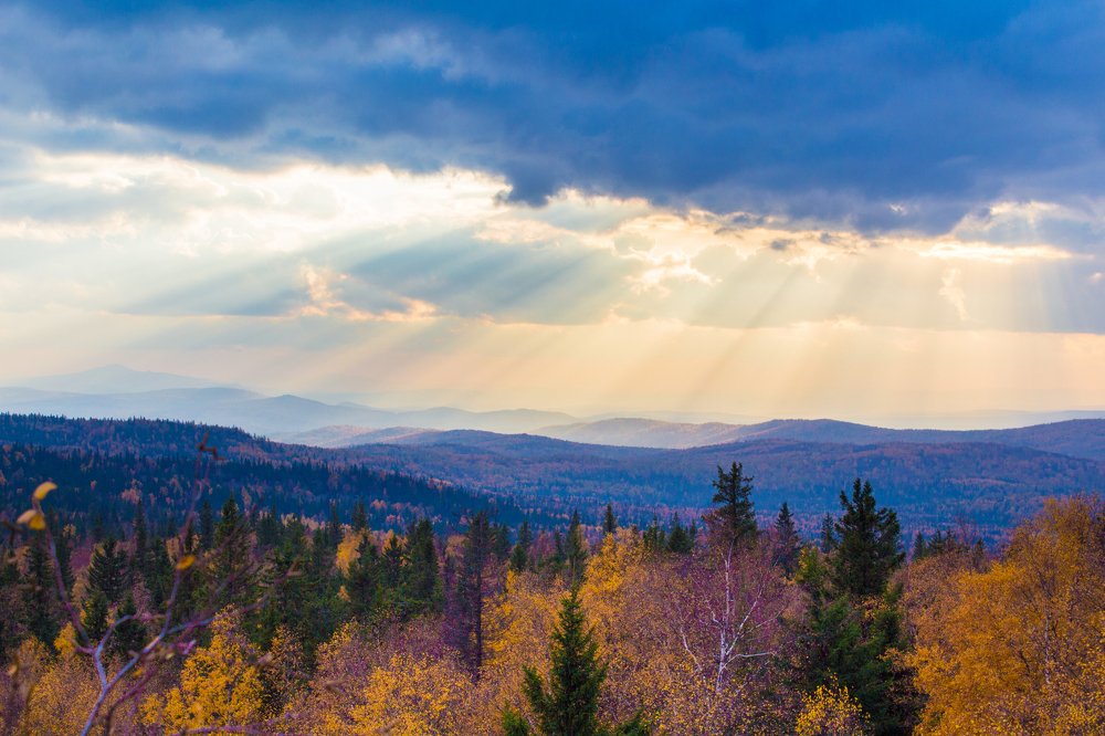 Photograph by Евгения Журавлёва