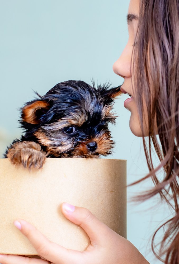 Фотография автора Наталья Трач