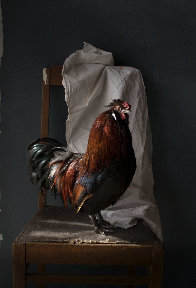 Фотография автора Коршак Елена