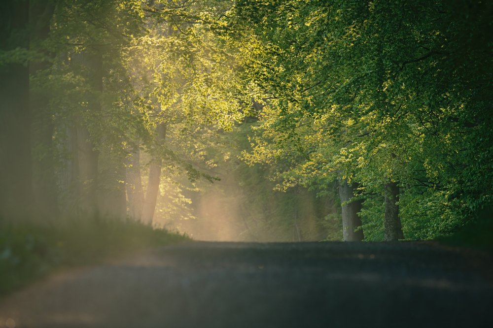 Photograph by Ernestas Balcikonis