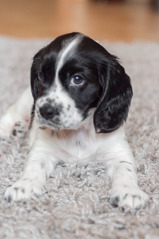 Photograph by Евгения Журавлёва