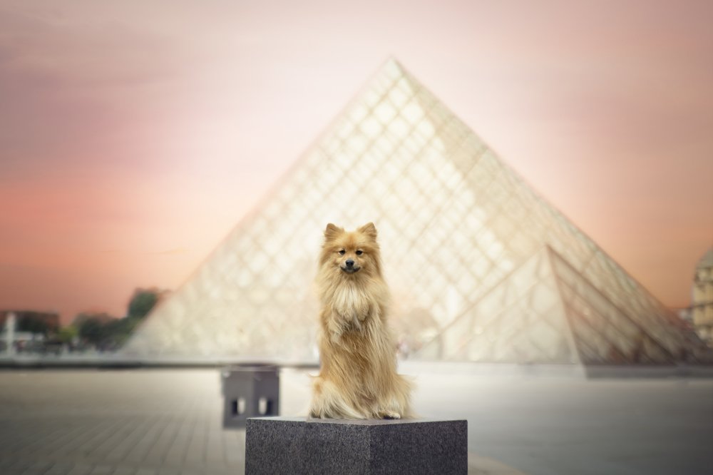 Photograph by Deise de Oliveira