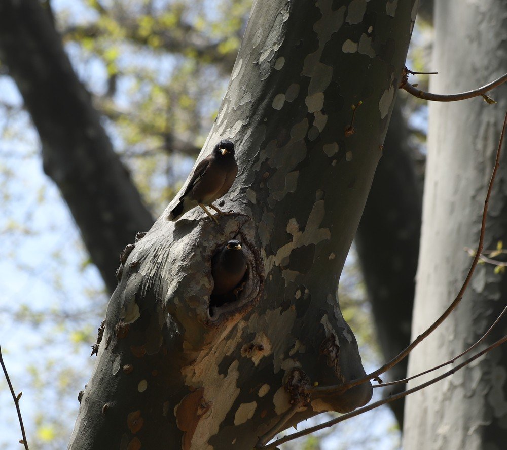 Photograph by GUNSEL SECKİNER