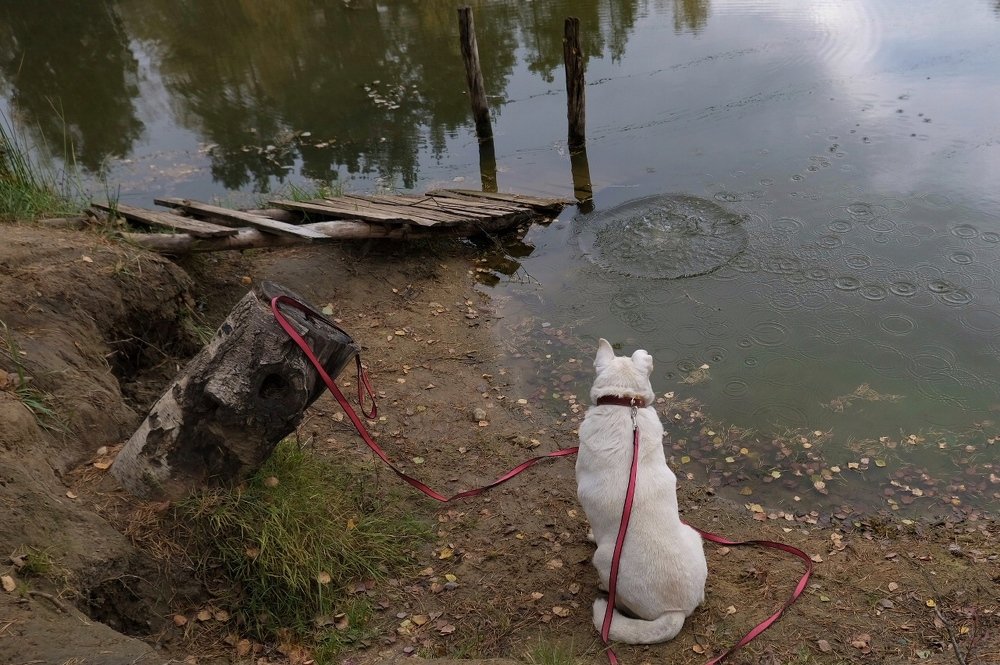 Photograph by Елизавета Байкова
