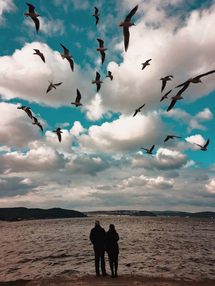 Photograph by Yalim Vural