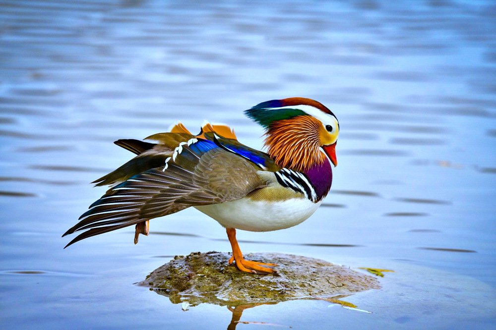 Photograph by Людмила Хакулова