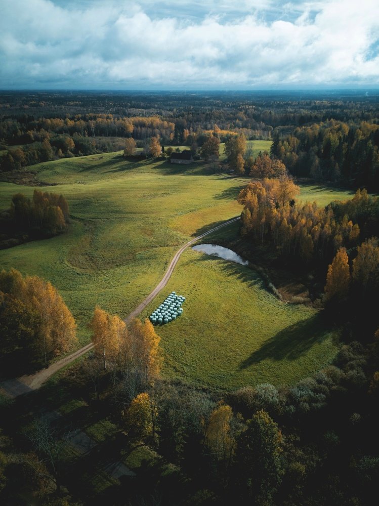 Природный холст