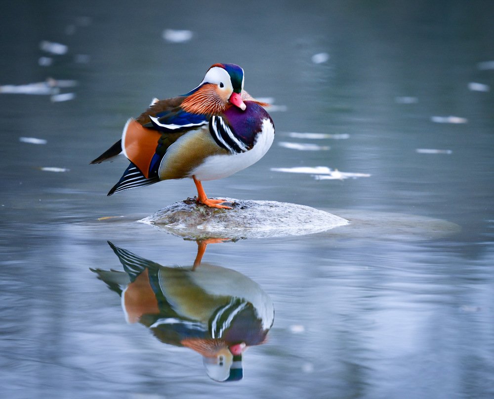 Photograph by Людмила Хакулова