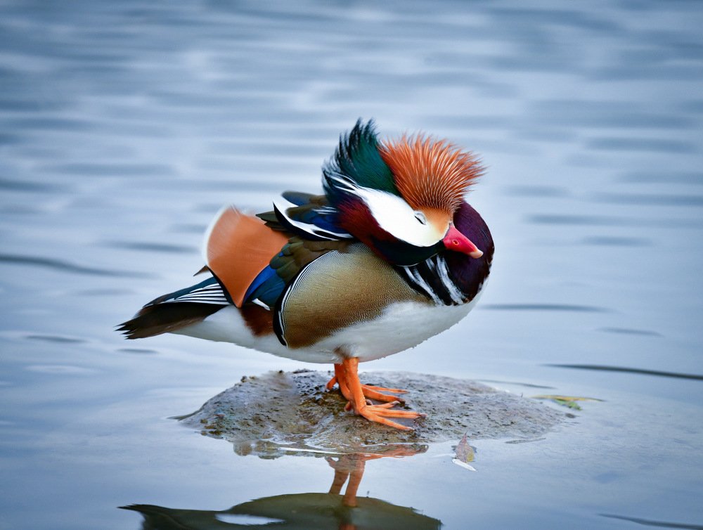 Photograph by Людмила Хакулова