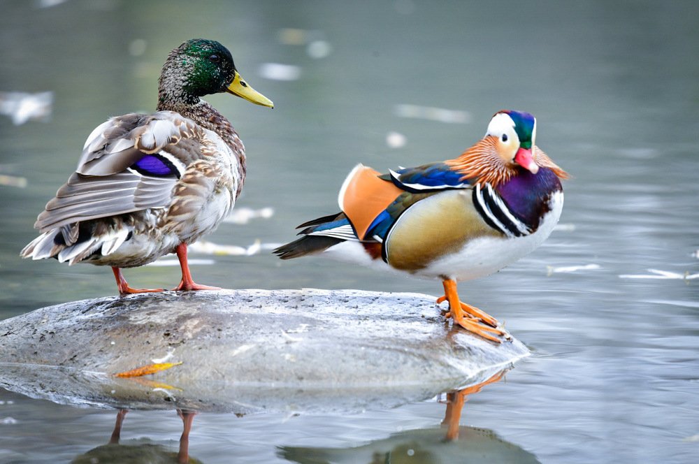 Photograph by Людмила Хакулова