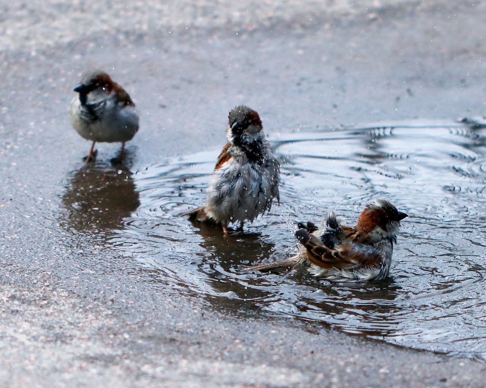 Photograph by Evgeniia Iakimenko