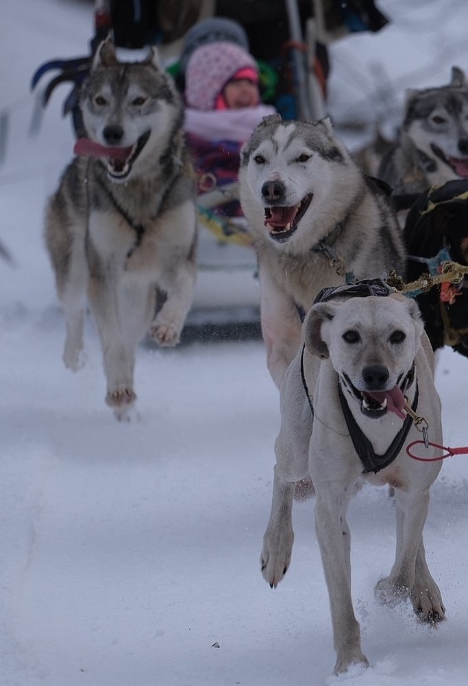 Photograph by Ján Šedivý