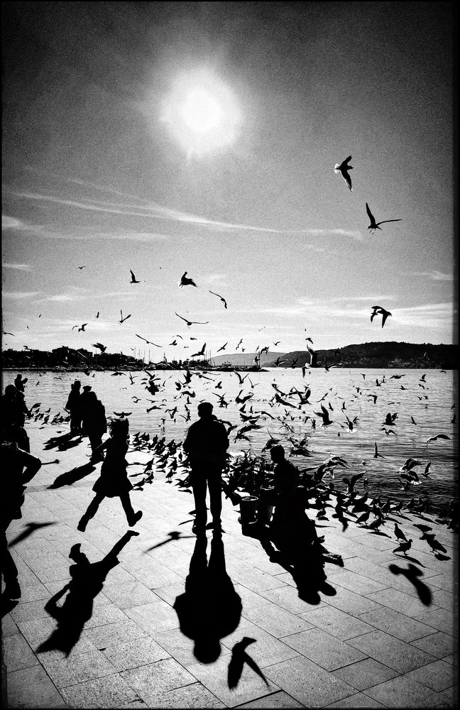 Photograph by Yalim Vural