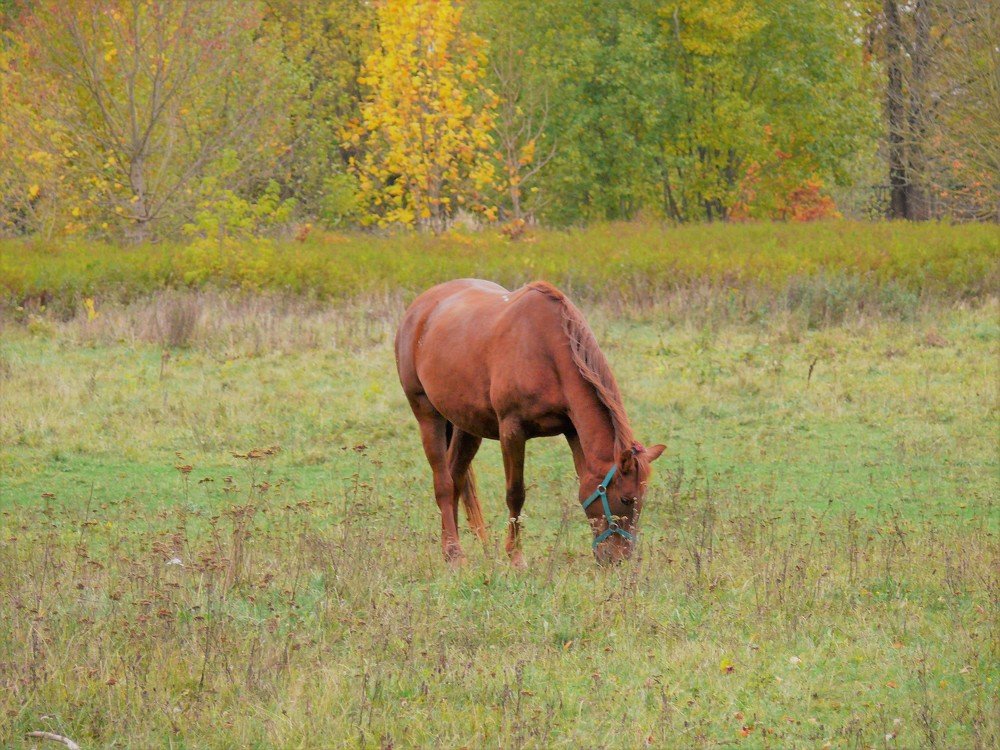 Photograph by Марина Игнатьева