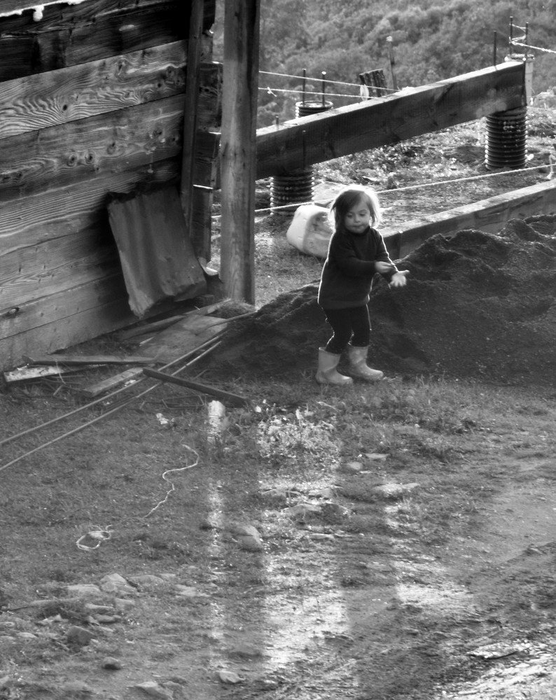 Фотография автора Темур Цивадзе