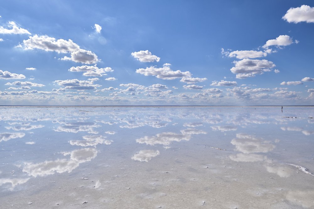 Photograph by Dmitry K