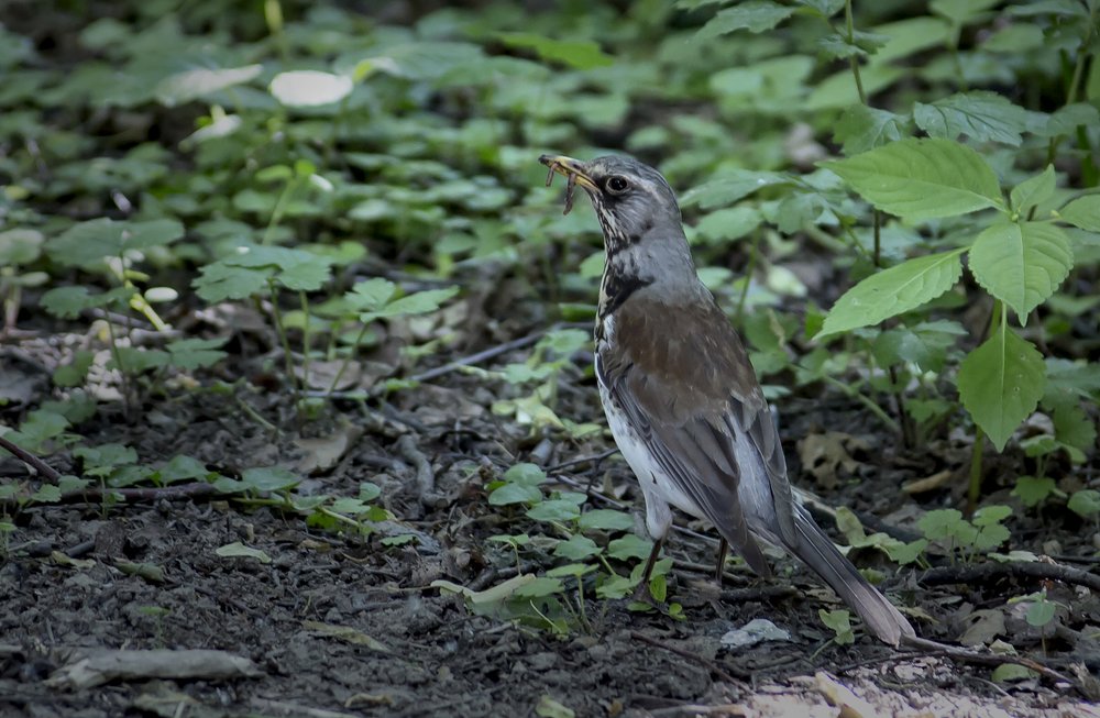 Photograph by Екатерина Рябинина