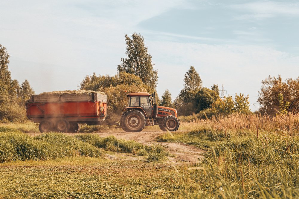 Photograph by Полина