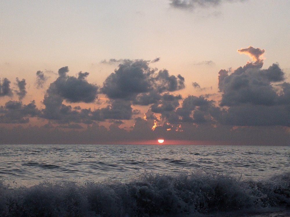 Photograph by Tatyana Belova