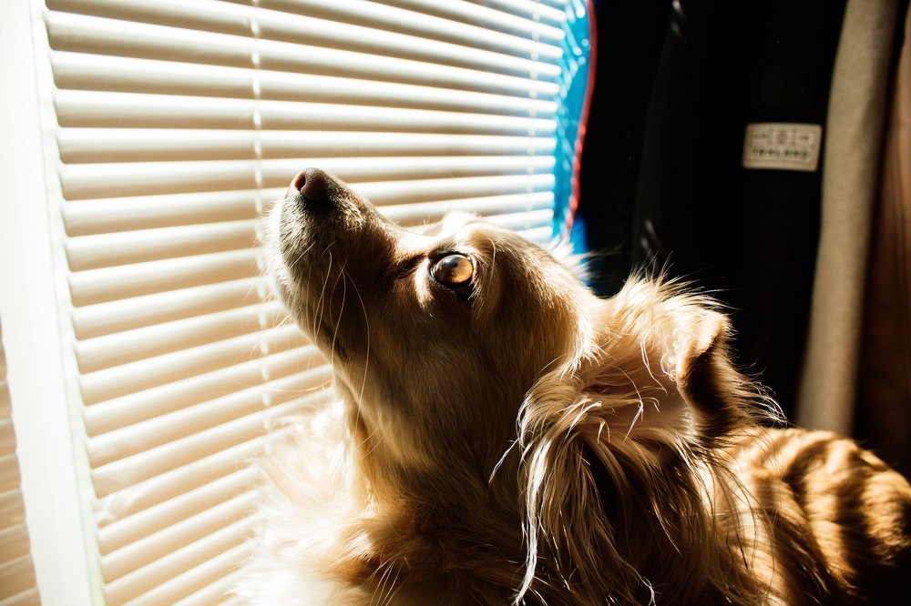 Photograph by Алина Логвиненко