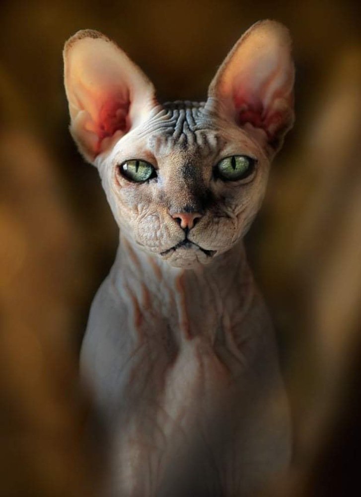 Photograph by Елизавета Болотникова