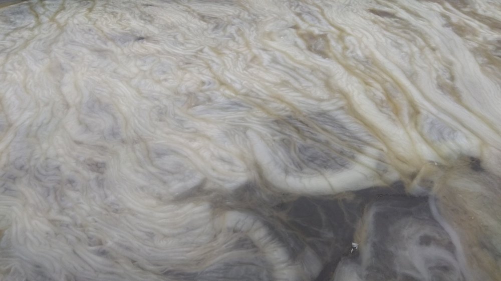 Photograph by Anastasia Kodatenko