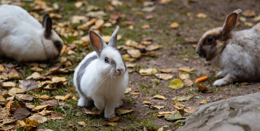 Фотография автора Дмитрий Войнов