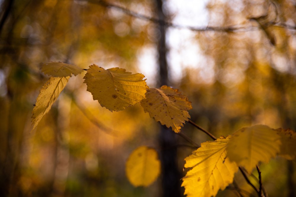 Фотография автора Дмитрий Войнов