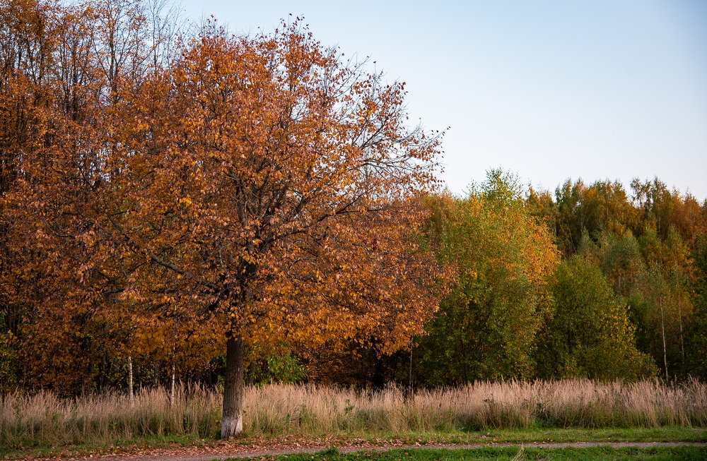 Фотография автора Дмитрий Войнов