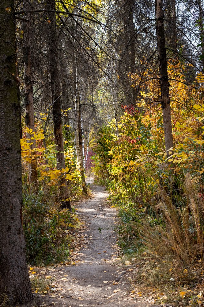 Фотография автора Ирина Рябчикова