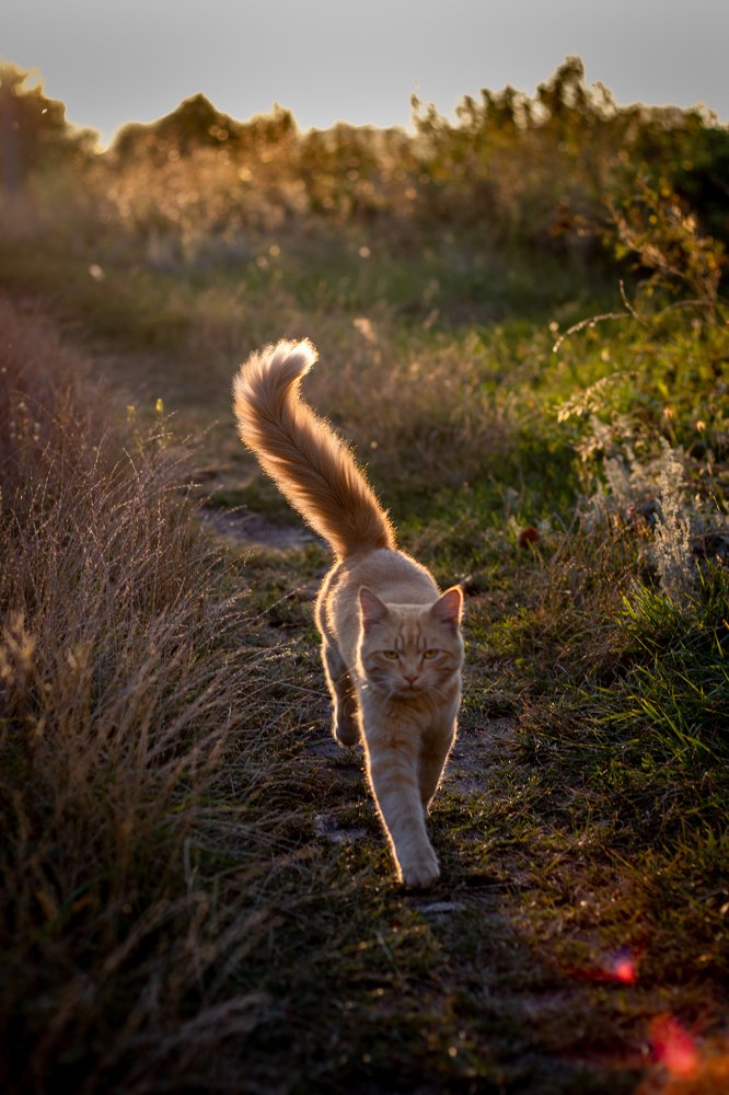 Фотография автора Ирина Рябчикова