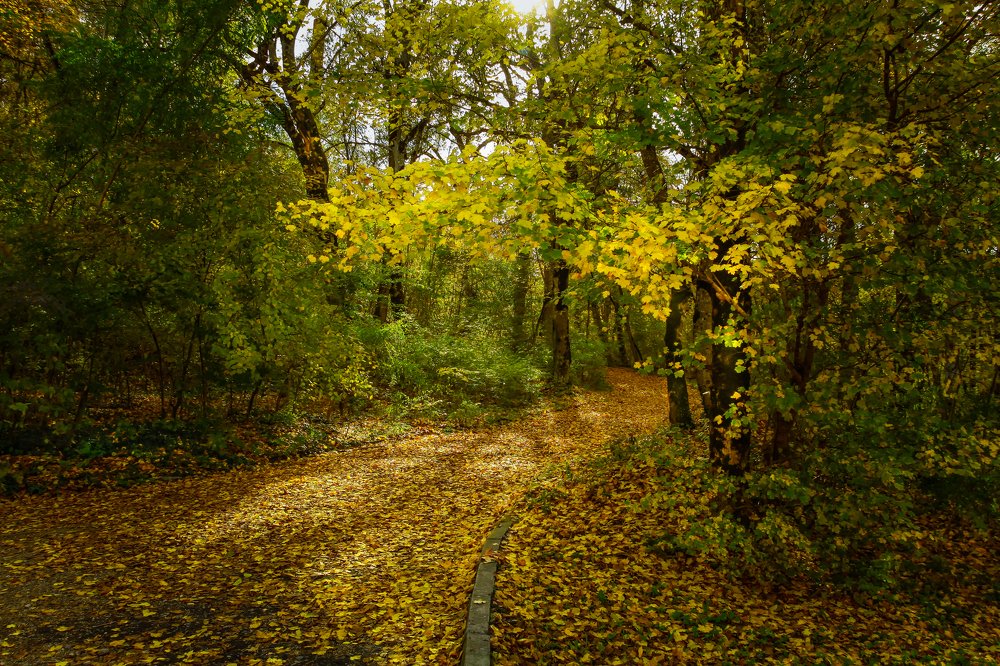 Photograph by Виктор Береснев