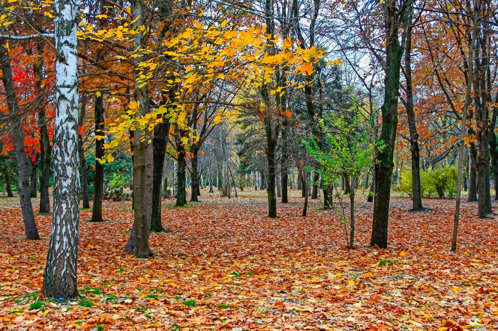 Photograph by Виктор Береснев