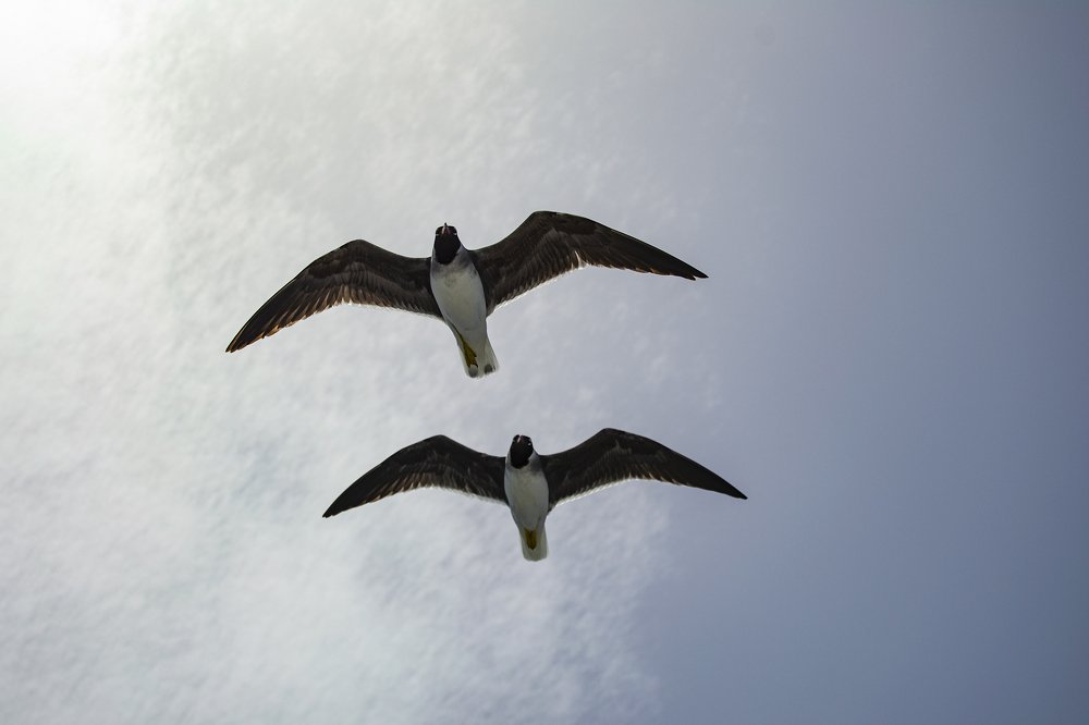 Photograph by Helmy Moataz