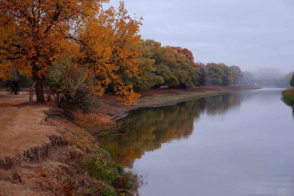 Photograph by Диана Арье