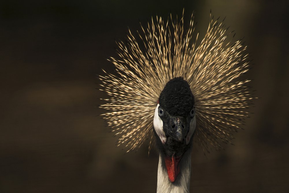 Photograph by Jesus Frias