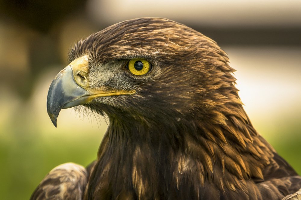 Photograph by Jesus Frias