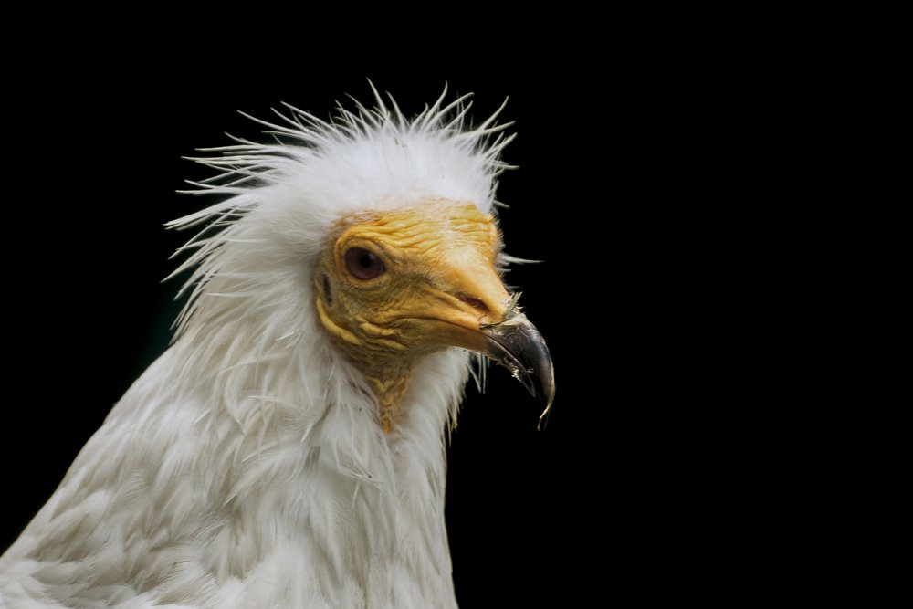 Photograph by Jesus Frias