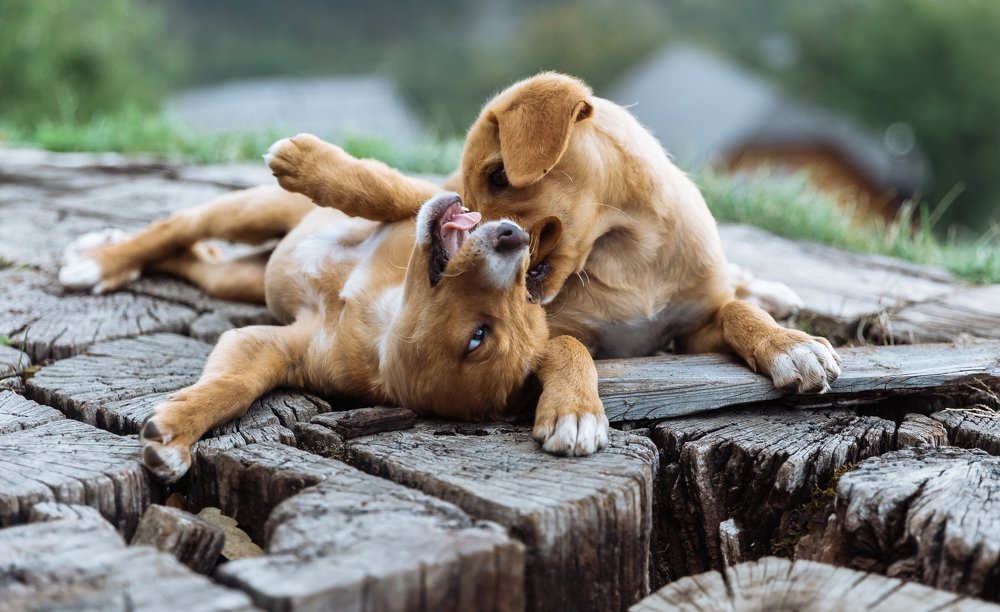 Photograph by Kamila Gurfinkel