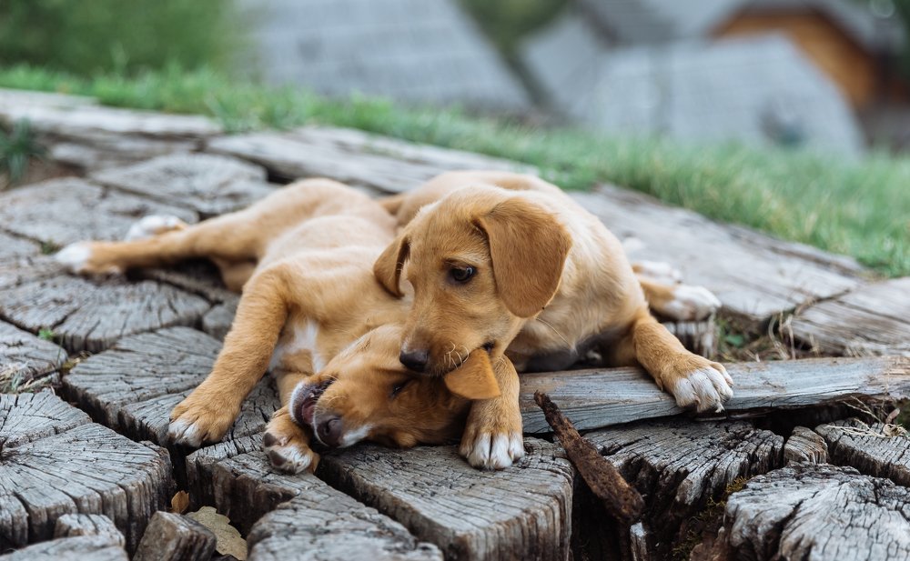 Photograph by Kamila Gurfinkel