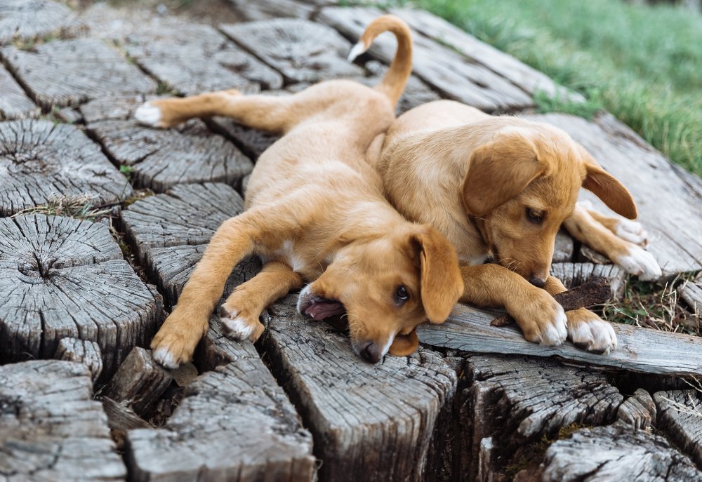 Photograph by Kamila Gurfinkel