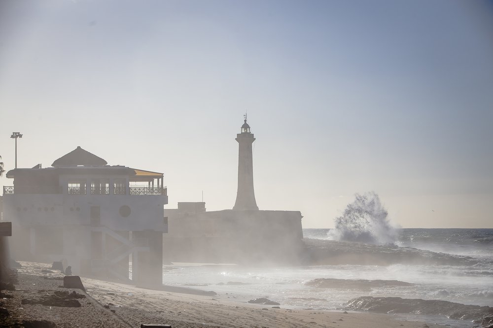 Photograph by Katja Sen