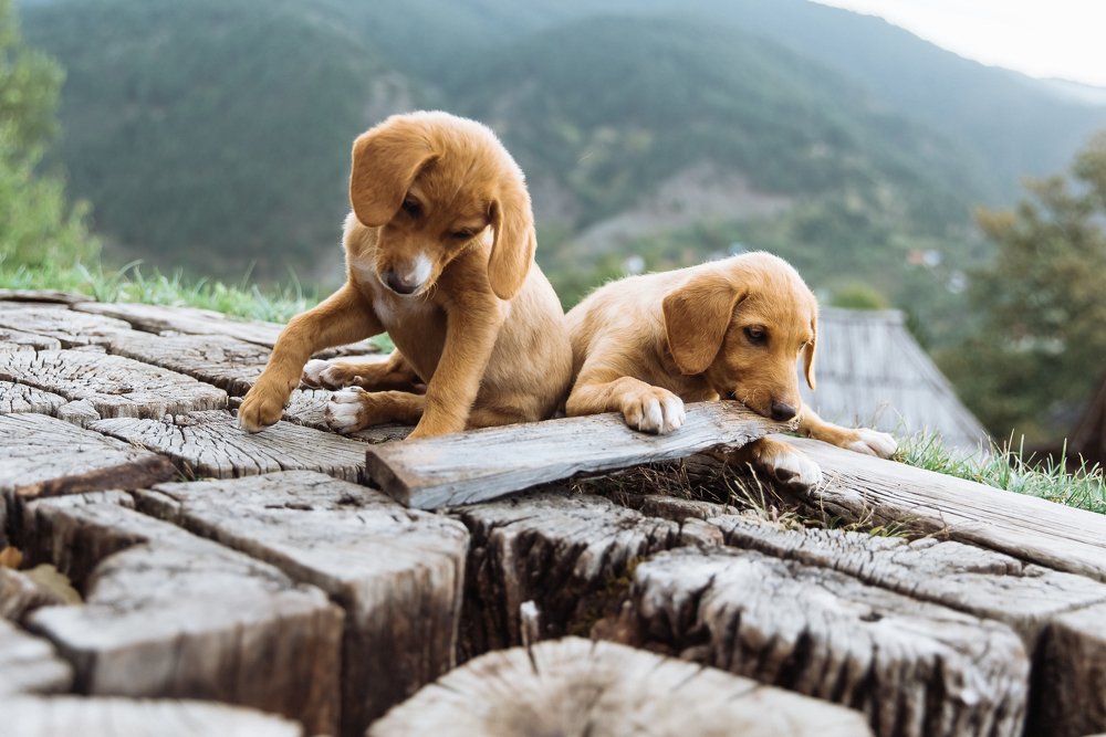 Photograph by Kamila Gurfinkel