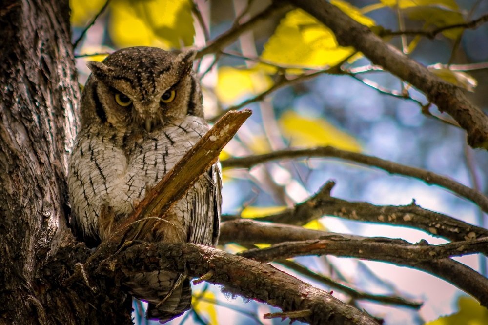 Photograph by Lucimara Rodrigues