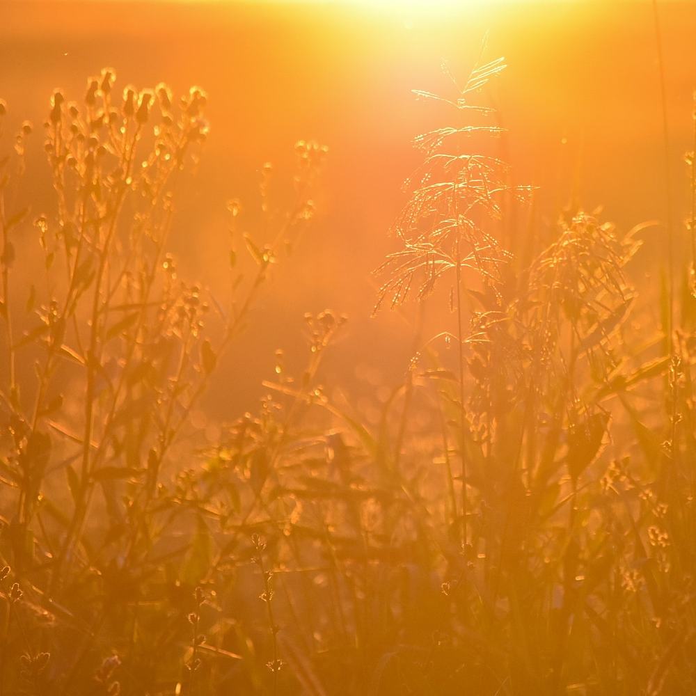 Photograph by Анна Муковозова