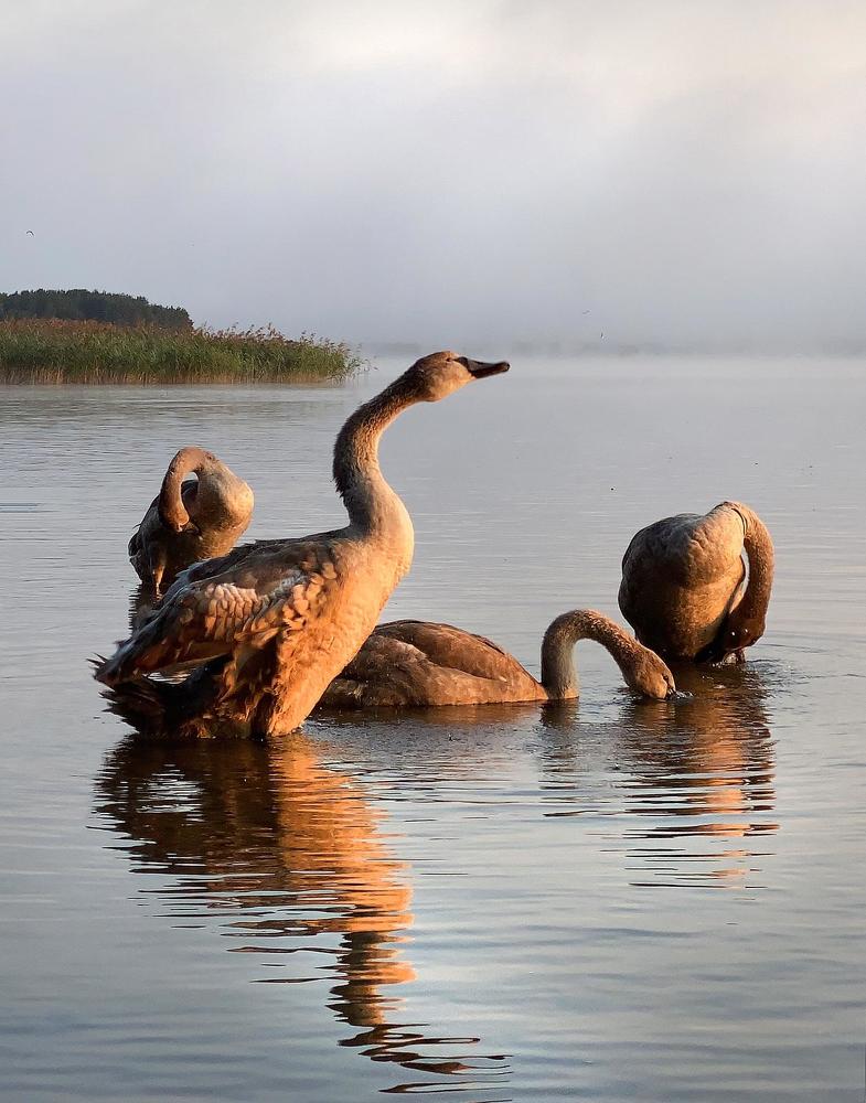 Photograph by Анатолий Андреев