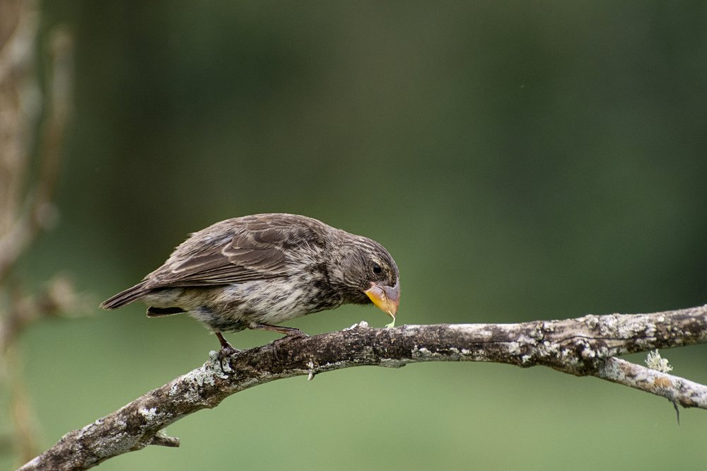 Photograph by Marina Mikhova