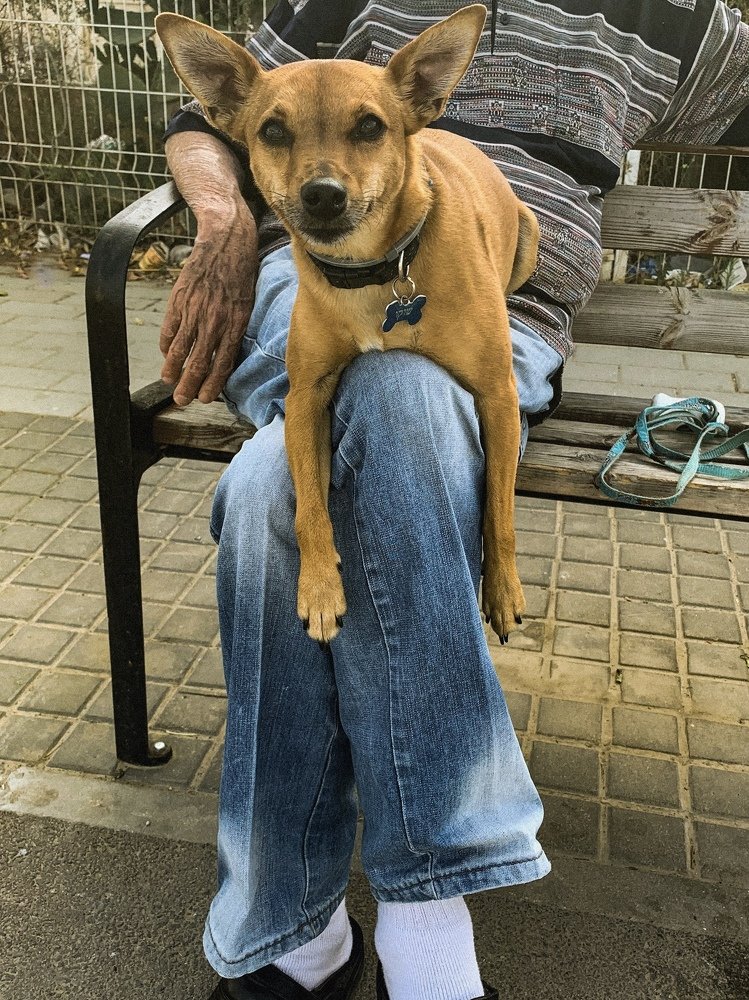 Photograph by никита риер