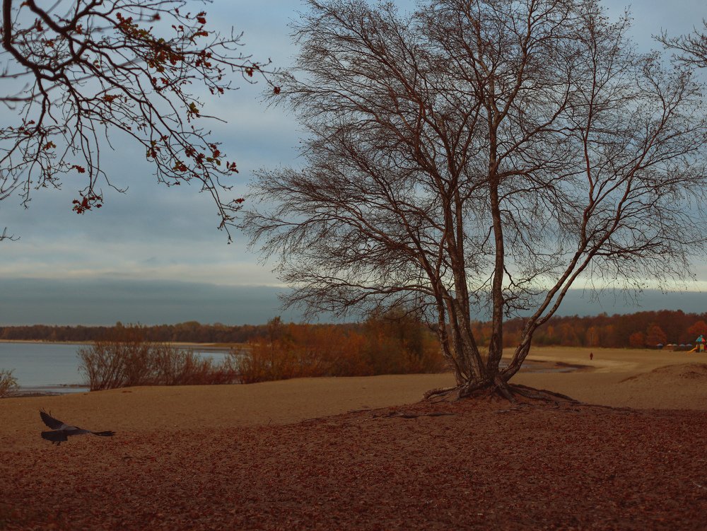 Photograph by Nadezhda Stoliarova