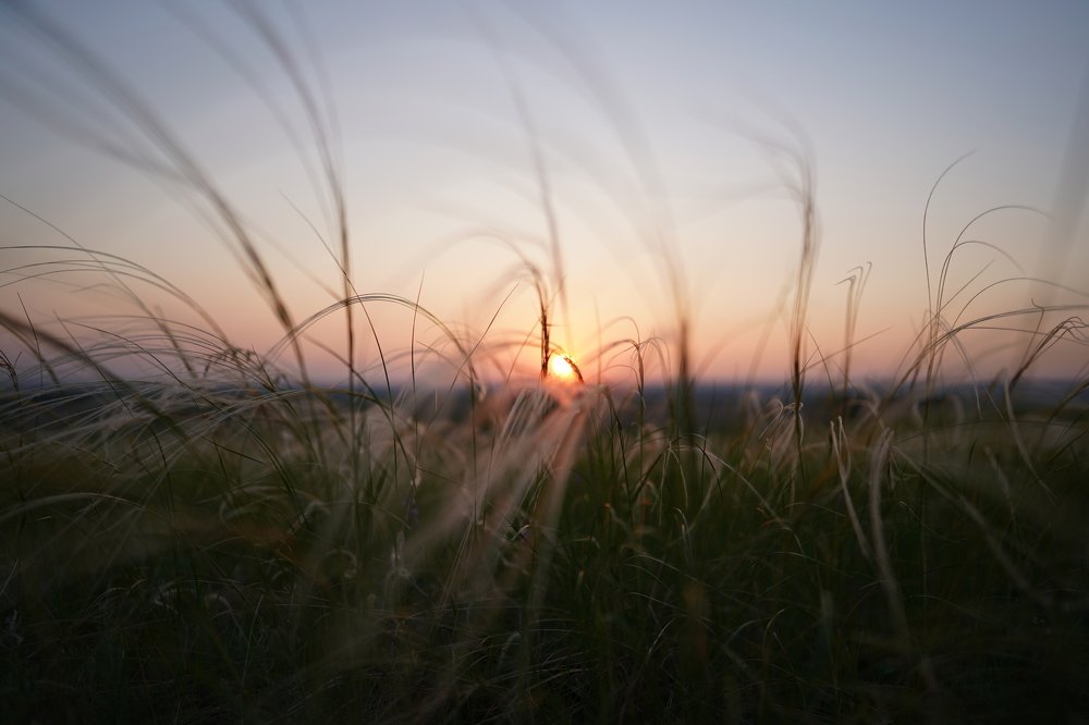 Photograph by Азат Семыкин